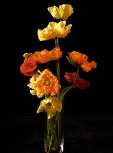 Mohnblumen in Glasvase