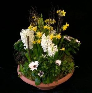 Grabschale mit Hyazinthen