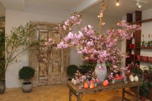 Blumenladen in Augsburg / Kirschzweige in Vase