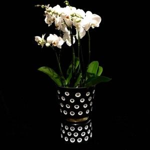 Vase mit weißer Orchidee