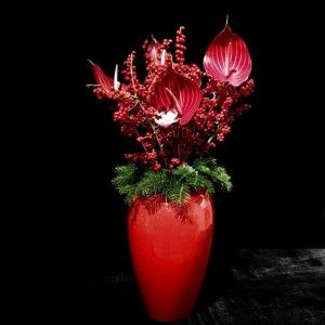 Anthurien weihnachtlich dekoriert in einer Vase